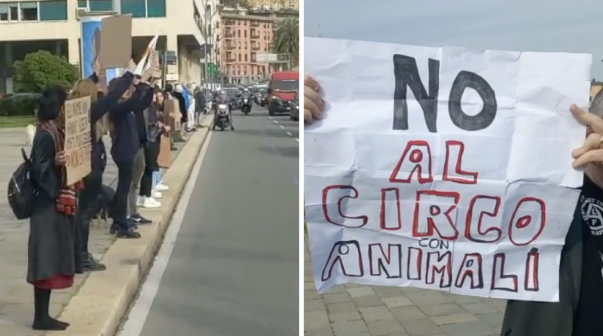 primo-giorno-di-circo-in-piazzale-kennedy,-la-protesta-contro-lo-sfruttamento-degli-animali